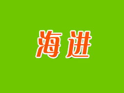 臨渭區(qū)海進(jìn)食品廠開啟廣州市場(chǎng)新篇章 代理商李海靜的開拓之路與區(qū)域戰(zhàn)略